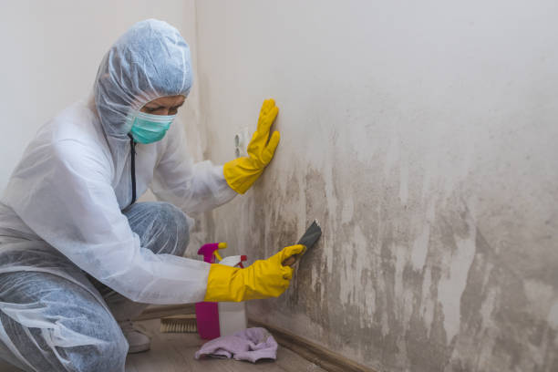 Best Bathroom Mold Remediation in Agua Dulce, TX