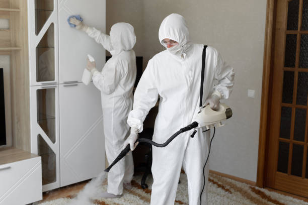 Best HVAC Mold Remediation in Agua Dulce, TX