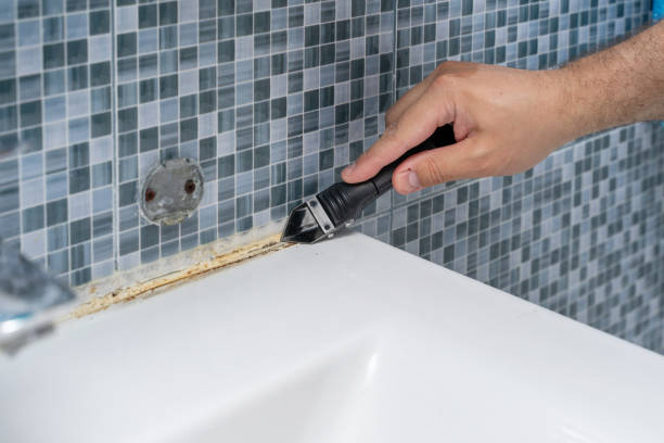 Best Preventive Mold Services in Agua Dulce, TX